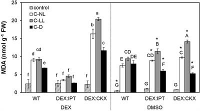 Light Regulates the Cytokinin-Dependent Cold Stress Responses in Arabidopsis